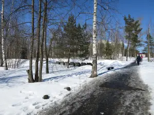 Central Park