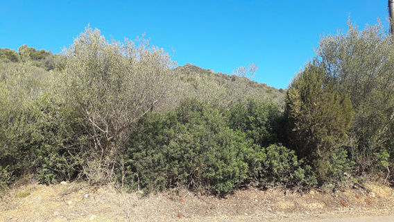 Nuraghe Baccu Idda