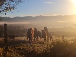 Camping The Sunrise Hill