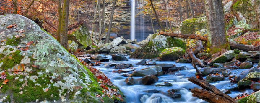 Cedar Falls Overlook