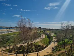 Qadisiyah Park