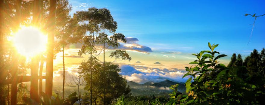 Bukit Melogi Cinta, Dipajaya.