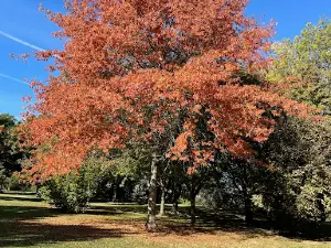 Recreation Park Fregeneuil