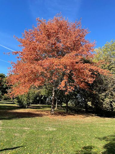 Recreation Park Fregeneuil