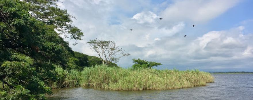 La Isla de Los Pájaros