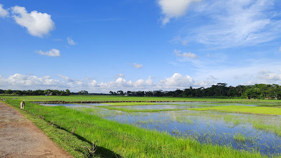Mathbaria Upazila