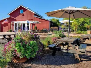 Vino Noceto Winery
