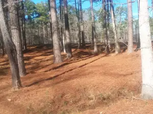 Zack Rogers Park