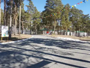 Tsvmr "Snezhinka"