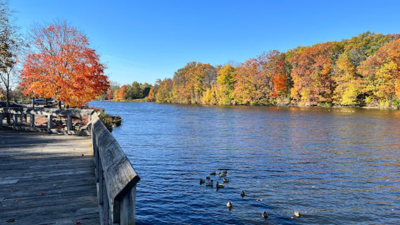 Lansing