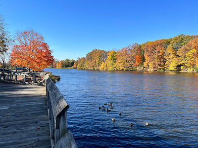 Frances Park
