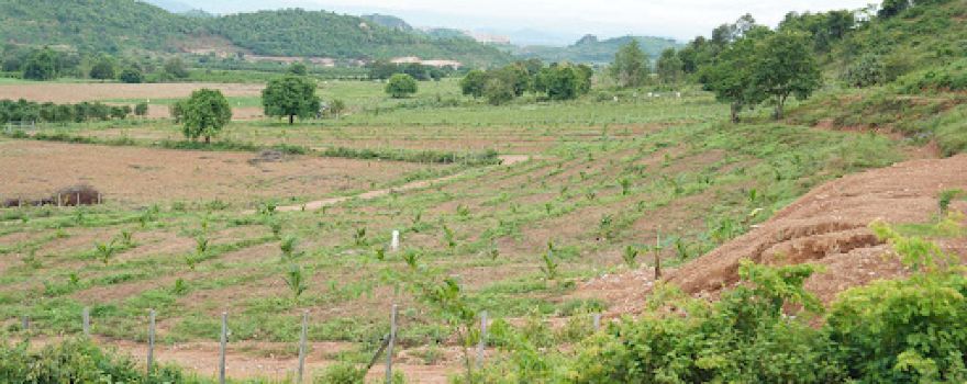 Sofiya Farm kampot