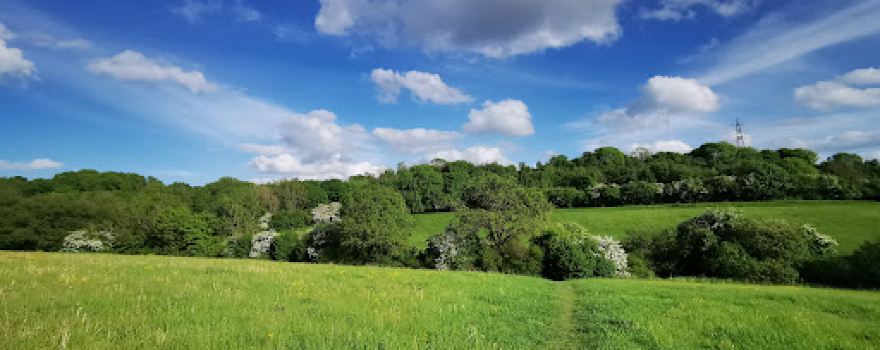 Portland Park Country Park