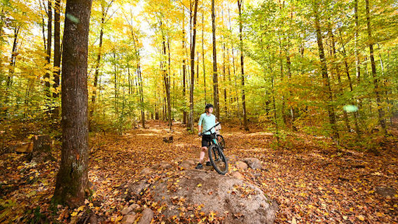 Strong Falls Trail System