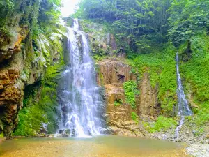 Spider Forest and Nature Conservation Areas
