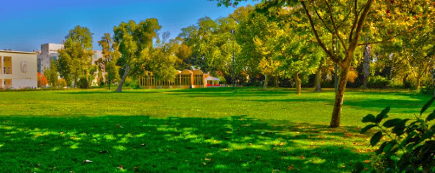 Parque Municipal Carlos Hidalgo Gomes de Loureiro