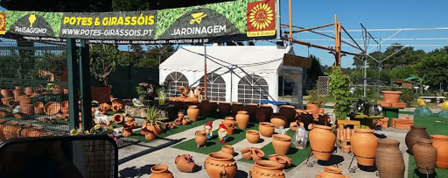 Potes & Girassóis - Paisagismo e Jardinagem