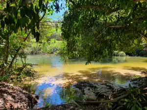 Municipal Ecological Park