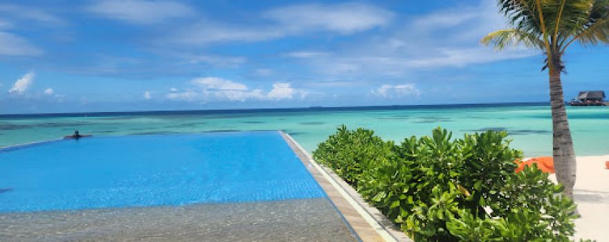 Infinity Pool