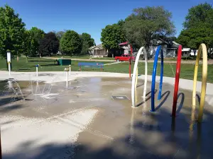 Fiedler Family Ball Complex