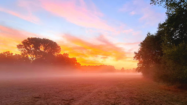 Volkspark Marienberg