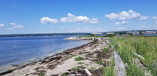 Friends of Sears Island
