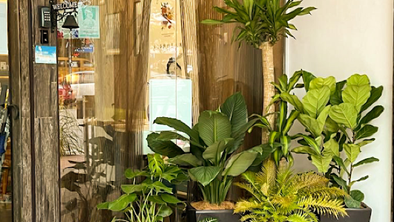 Eva Beauty Concept - Facial Treatment Taman Gaya, Johor Bahru