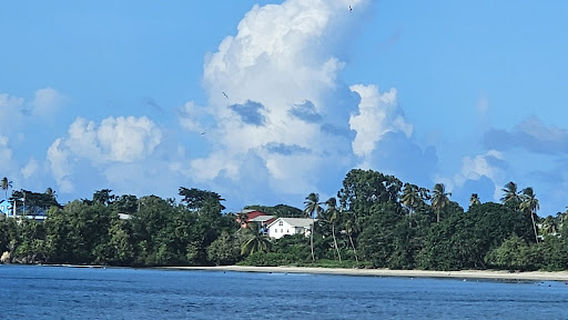 Great Courland Bay (Turtle Beach)