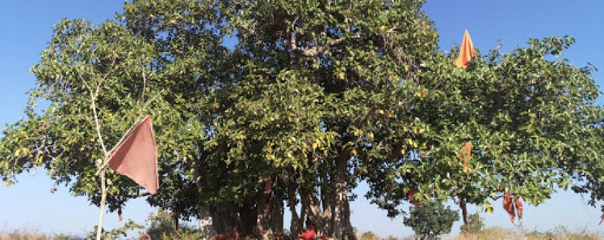 Hanuman Temple Paankhedi