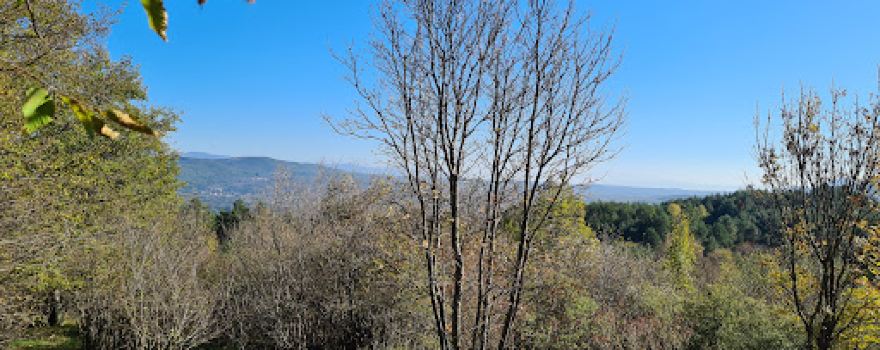 Gradina nad Pasjakom, arheološko nalazište