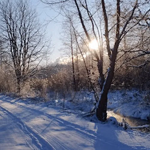 Biedrība "Hapakieši"
