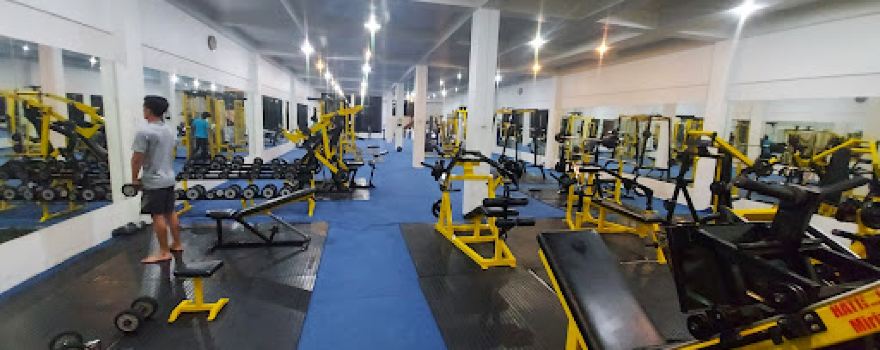 Pion Gym