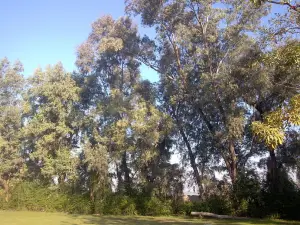 Paradise Point