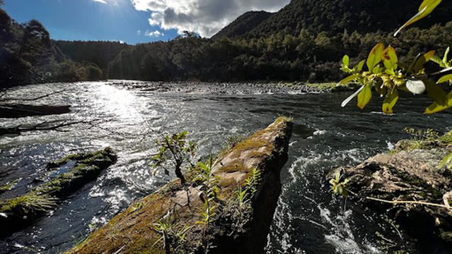 Kaweka Forest Park