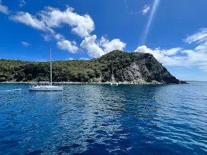 Pinnacle Marine Fishing & Snorkel Private Boat Charters