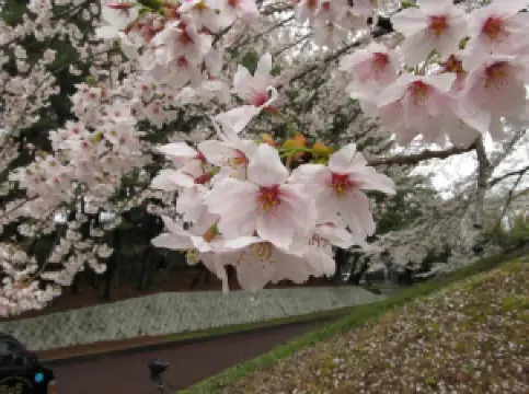 Expo ’70 Commemorative Park