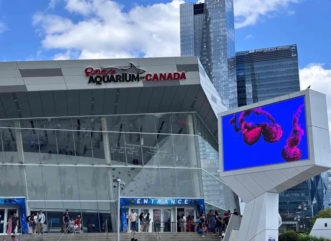 5_Ripley's Aquarium of Canada