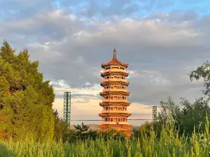 Shenlongshan Forest Park Central Square