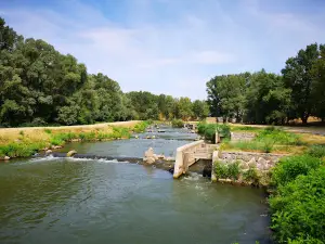 Tisza Tavi Hallépcső