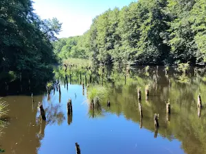 Hubertlaki-tó (Gyilkos tó)