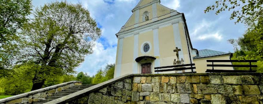 Provodov – lípa na Malenisku
