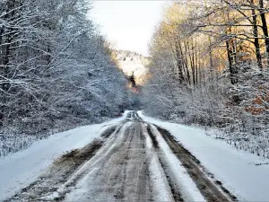 Ussuriyskiy Gosudarstvennyy Prirodnyy Zapovednik
