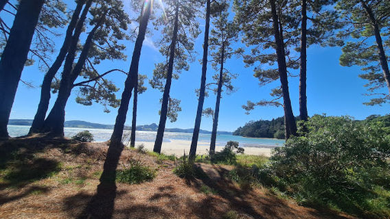 Purangi Regional Reserve