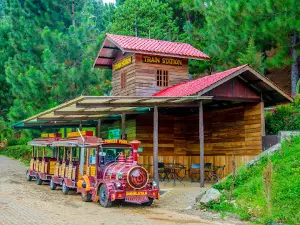 Dahilayan Forest Park