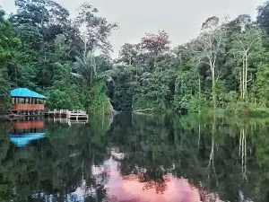 Lindu Lake