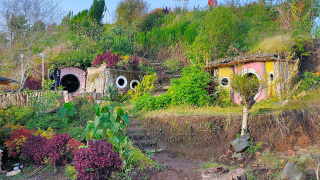 Bukit Bintang Jipang