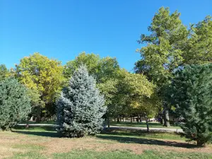 Buckley Park Campground