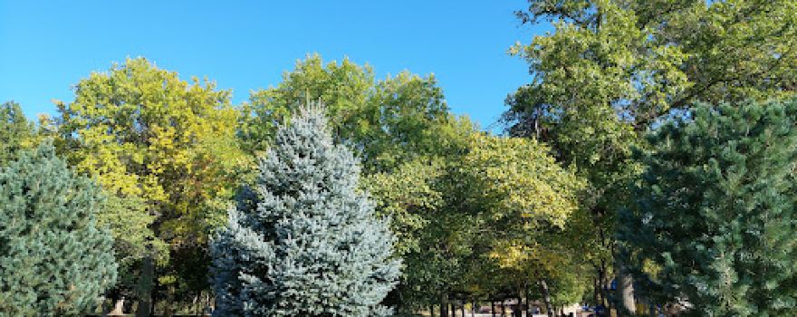 Buckley Park Campground