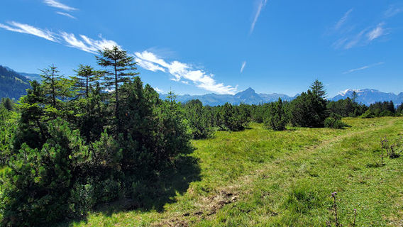 Hinter Höhi