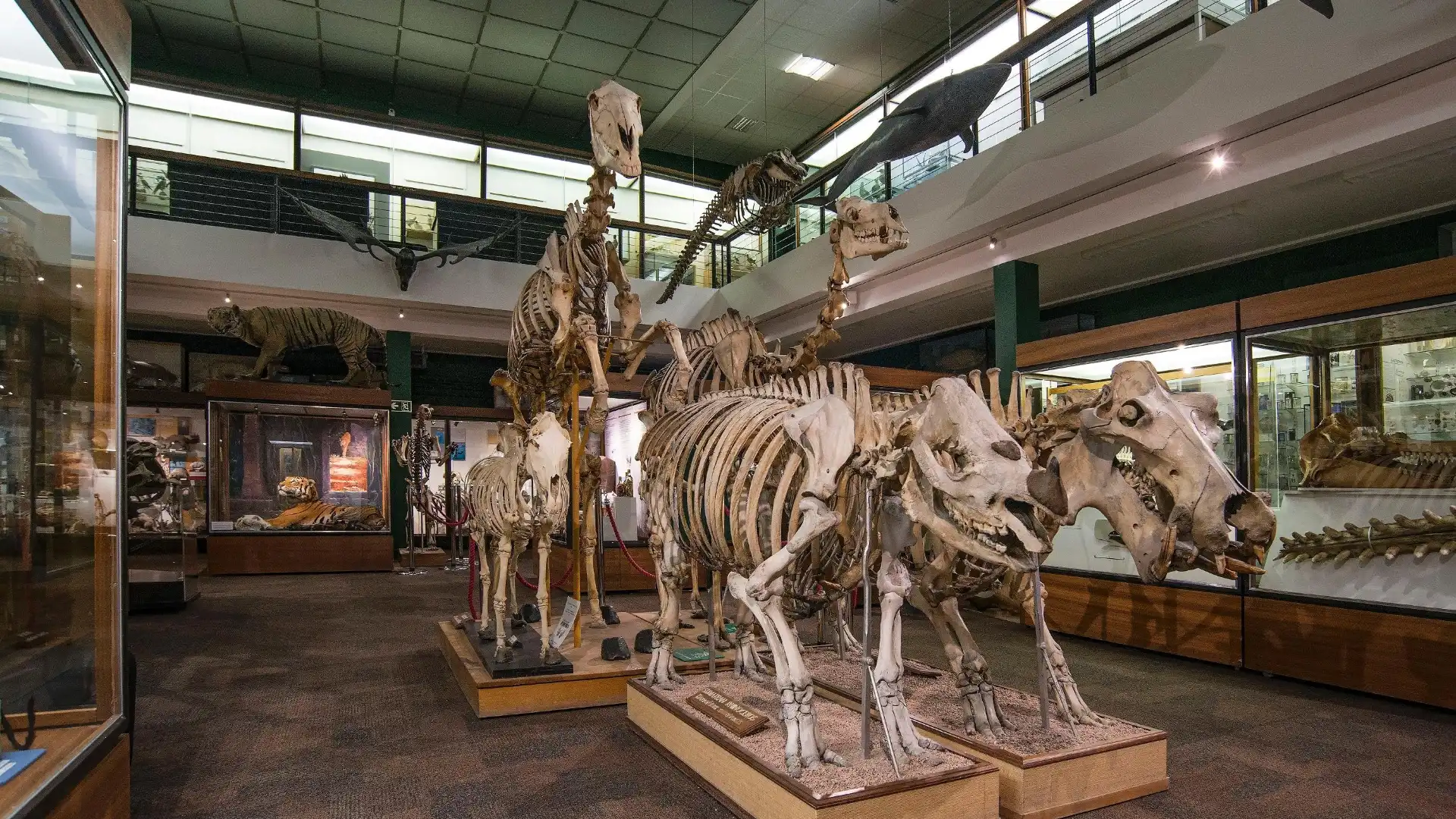 Hotels near University of Aberdeen Zoology Museum